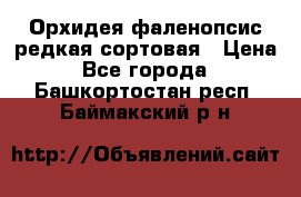 Орхидея фаленопсис редкая сортовая › Цена ­ 800 - Все города  »    . Башкортостан респ.,Баймакский р-н